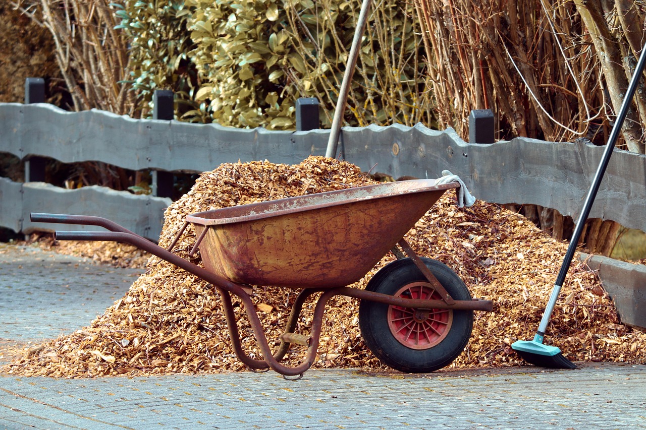 Use Proper Mulching Techniques (image credits: pixabay)