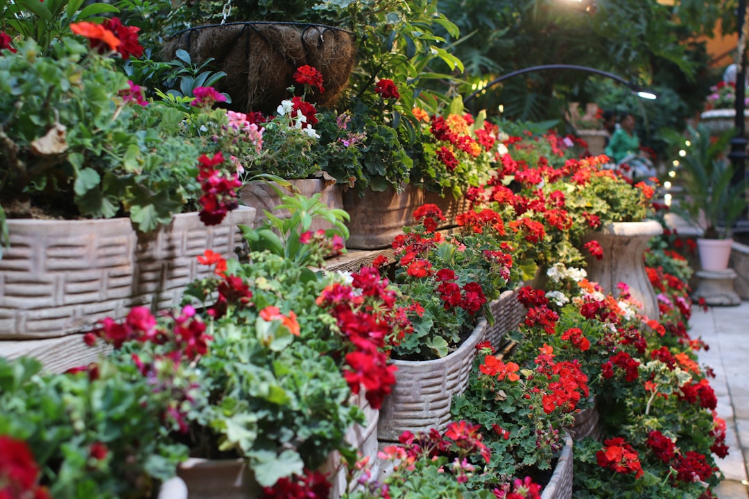 Practice Seasonal Garden Care (image credits: unsplash)