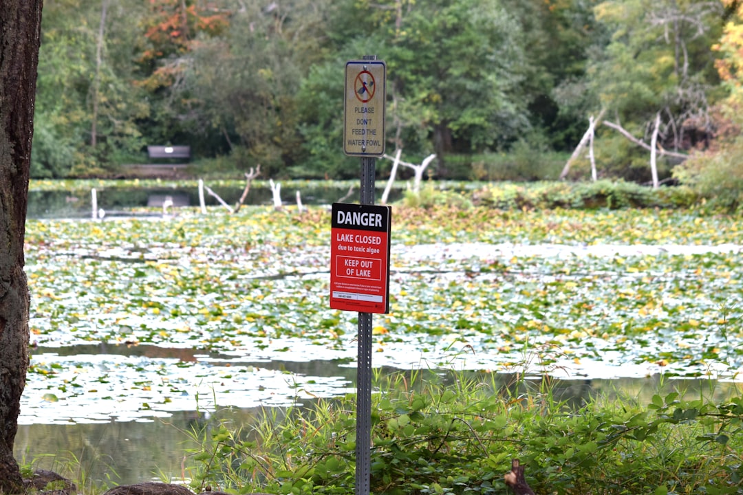 Retention Ponds - Suburban Killers (image credits: unsplash)