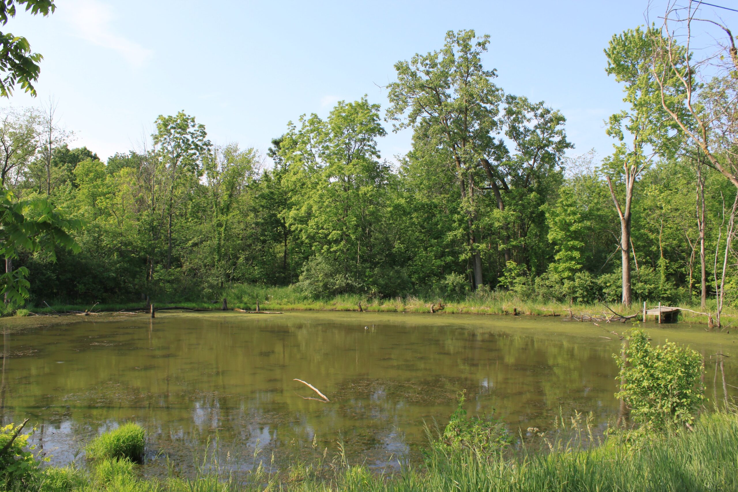 Farm Ponds and Private Waters - Unregulated Dangers (image credits: wikimedia)