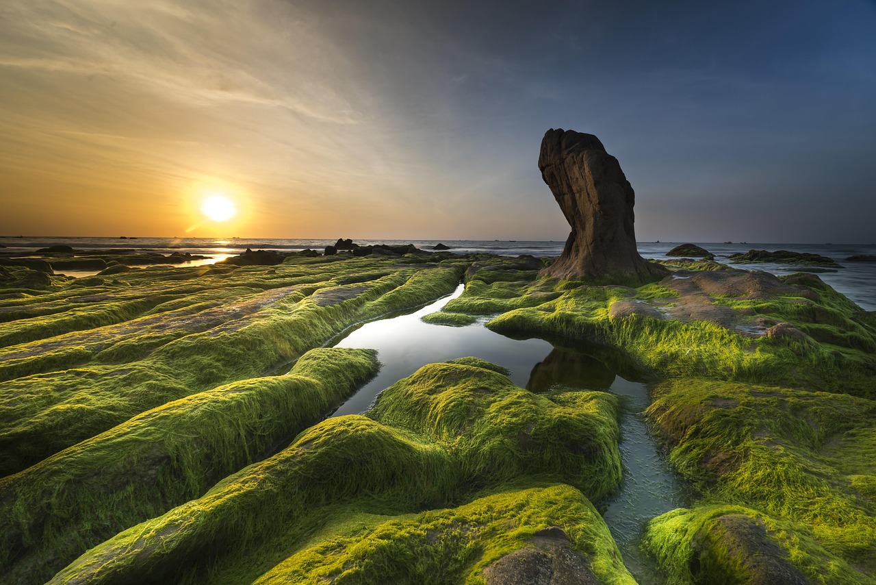 Tidal Pools and Coastal Waters - Marine Menaces (image credits: pixabay)