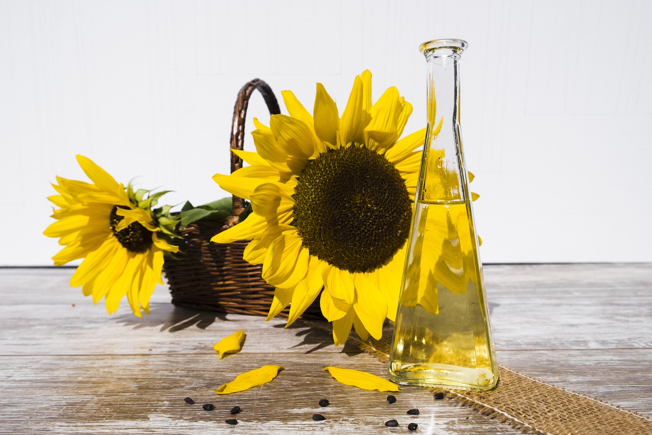 Offer Budget-Friendly Black Oil Sunflower Seeds (image credits: pixabay)