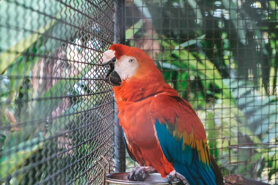The Financial Reality of Exotic Pet Ownership (image credits: unsplash)