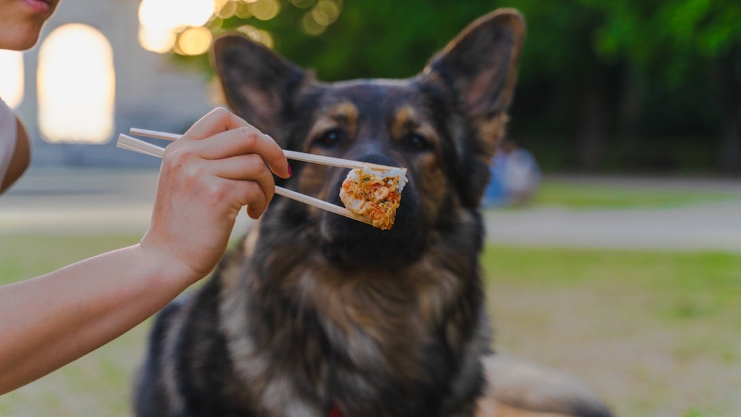 Changes in Appetite and Eating Habits (image credits: unsplash)