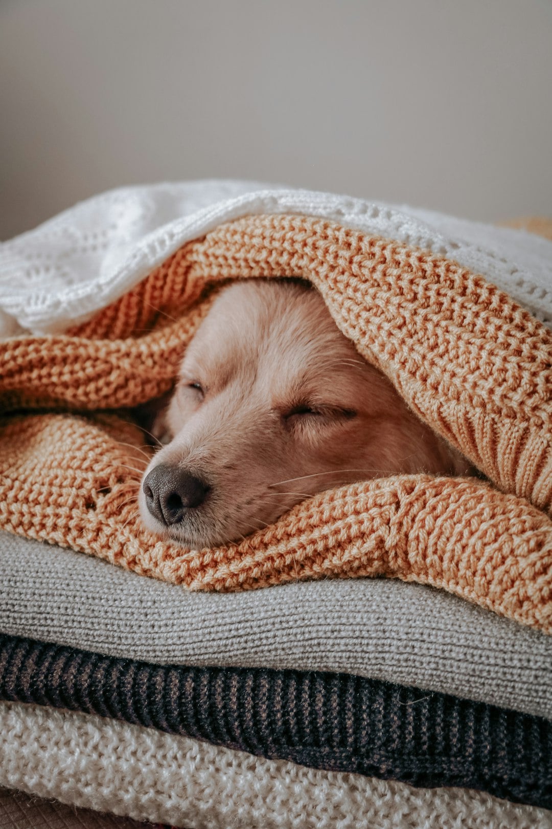 Disrupted Sleep Patterns (image credits: unsplash)