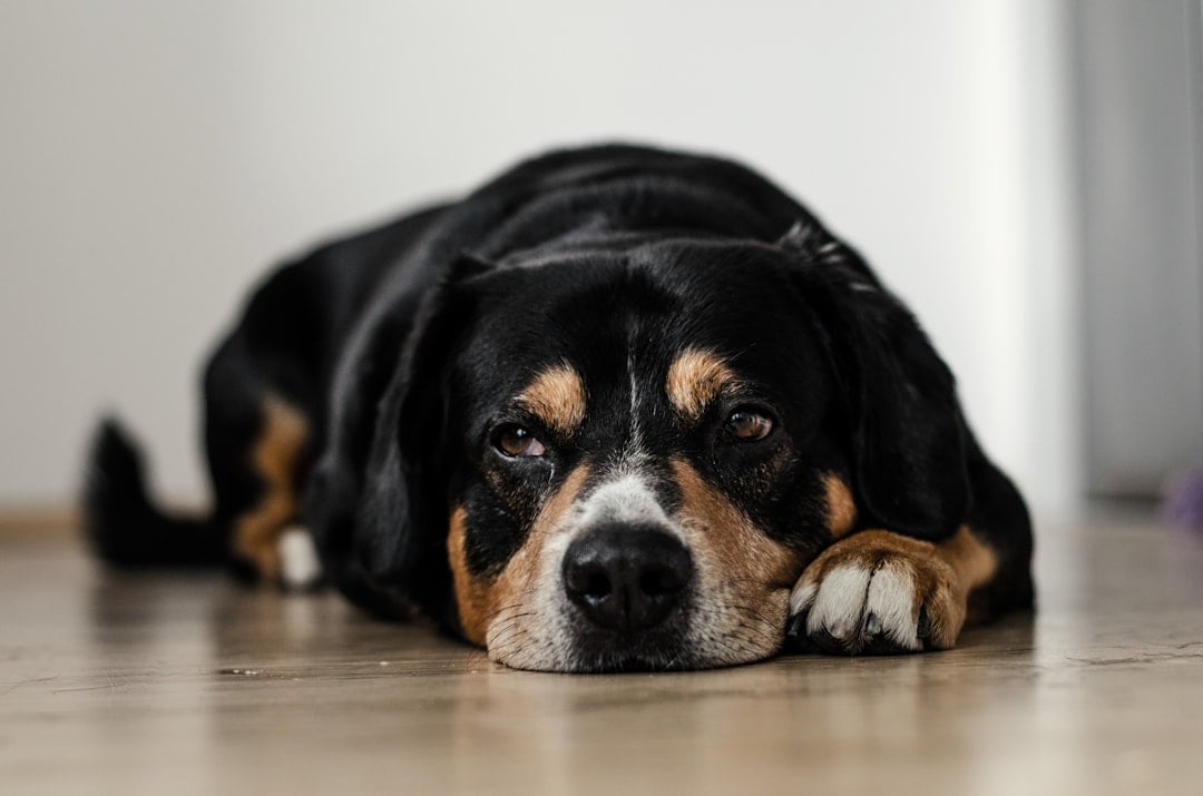 Diarrhea and Changes in Stool (image credits: unsplash)