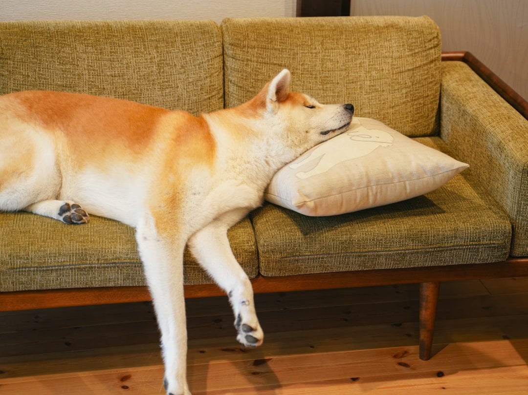 Restlessness and Inability to Get Comfortable (image credits: unsplash)