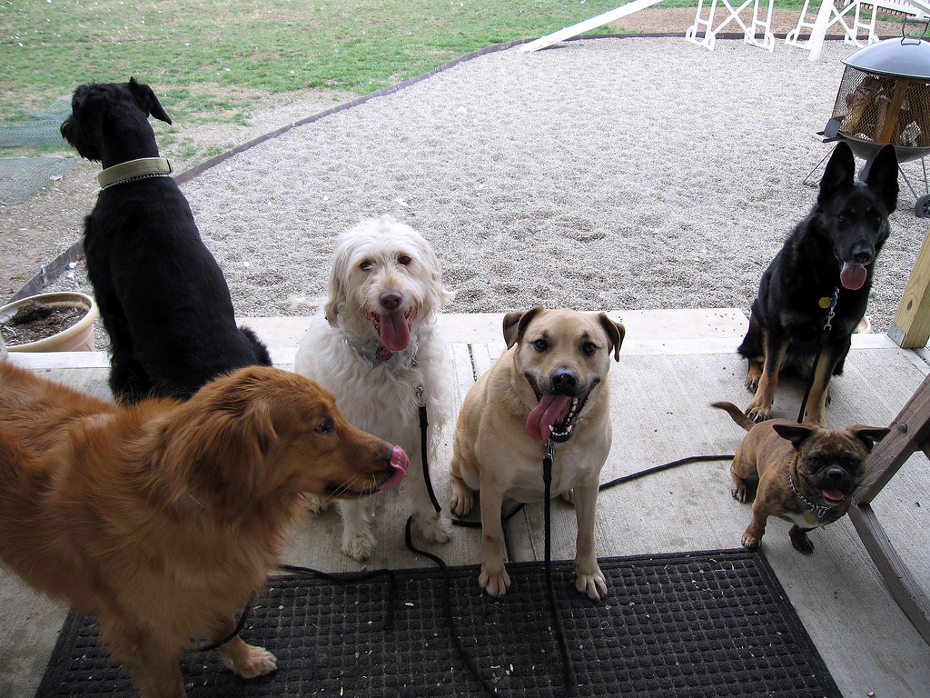 Forcing Social Interactions (image credits: flickr)