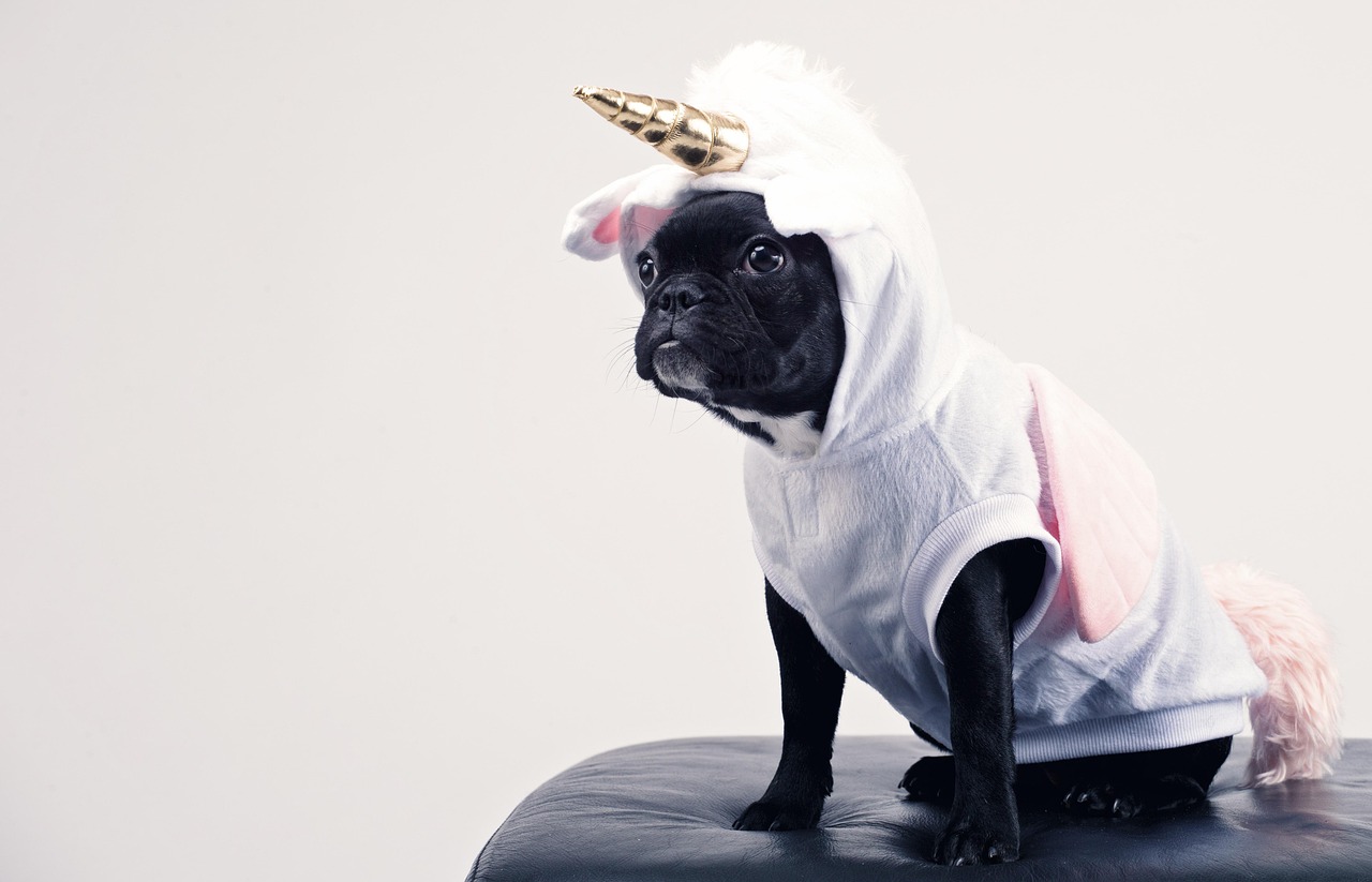 Dressing Them Up in Costumes (image credits: pixabay)