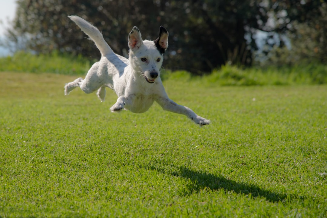 The Famous Post-Poop Victory Dance (image credits: unsplash)