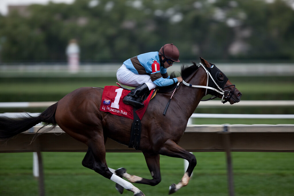 Thoroughbred: The Racing Royalty (image credits: flickr)