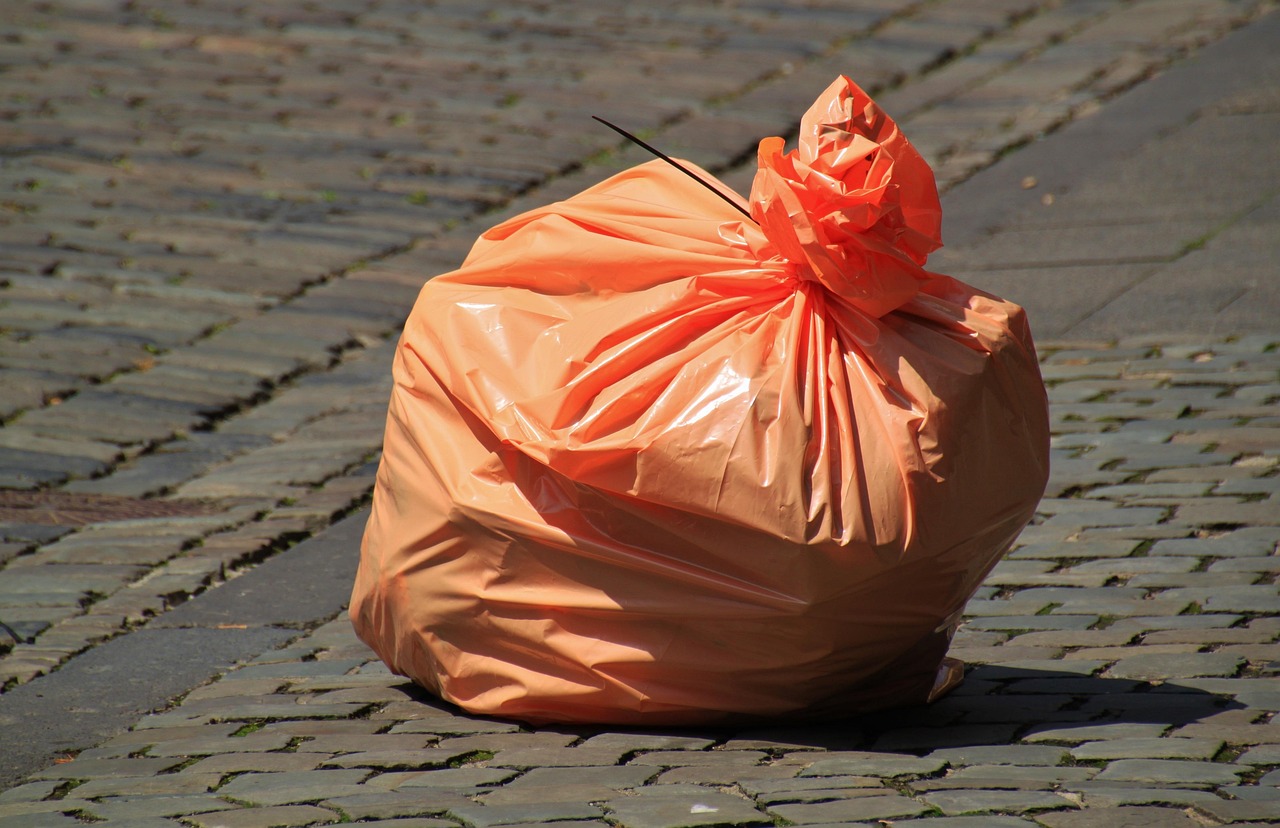 The Garbage Bag Hack That Changes Everything (image credits: pixabay)