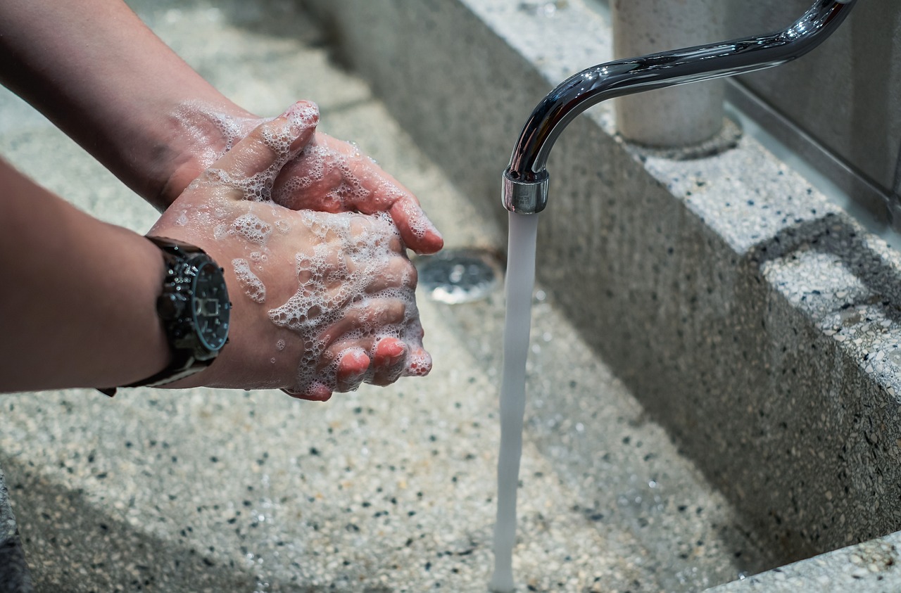 Post-Removal Cleanup: The Make-or-Break Moment (image credits: pixabay)