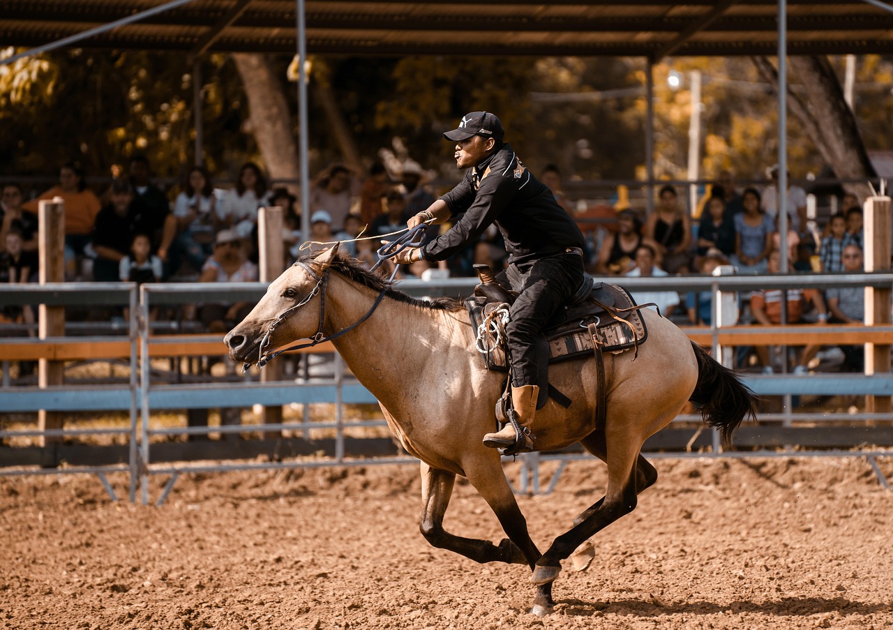 Quarter Horses - America's Versatile Problem (image credits: pixabay)