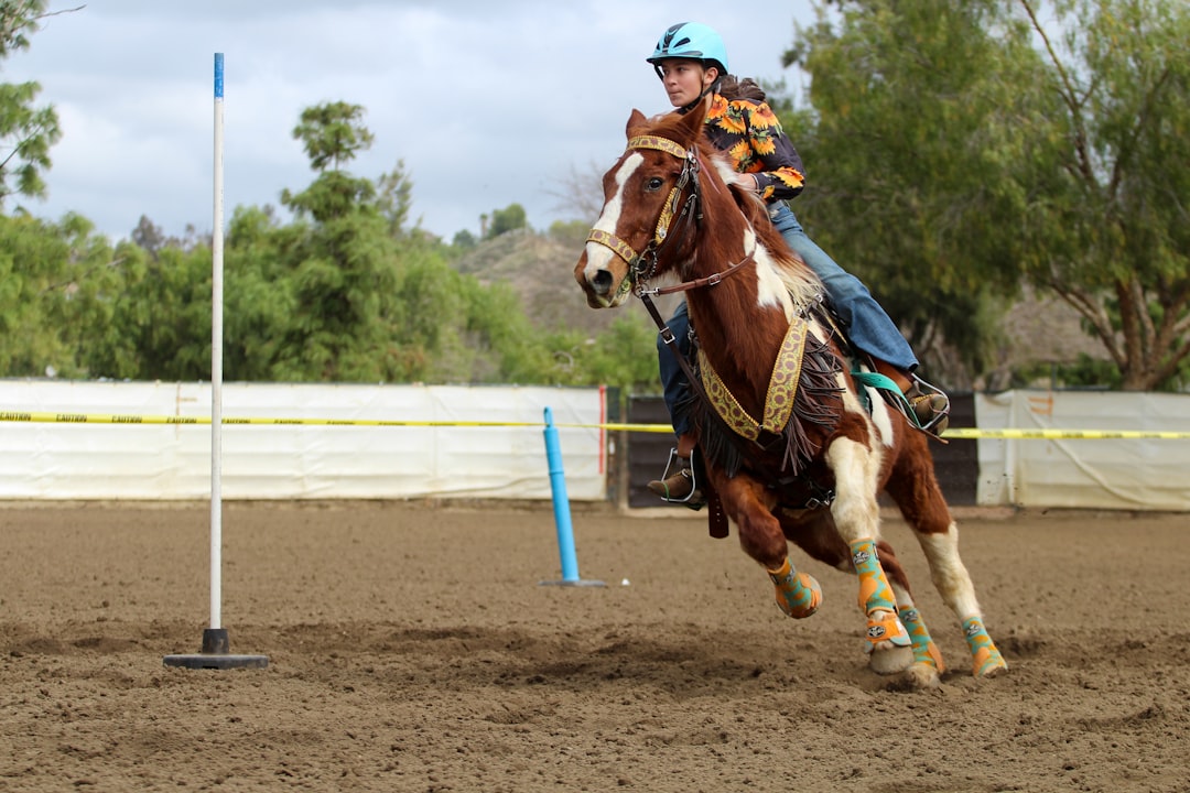 Paint Horses - Pretty Problems (image credits: unsplash)
