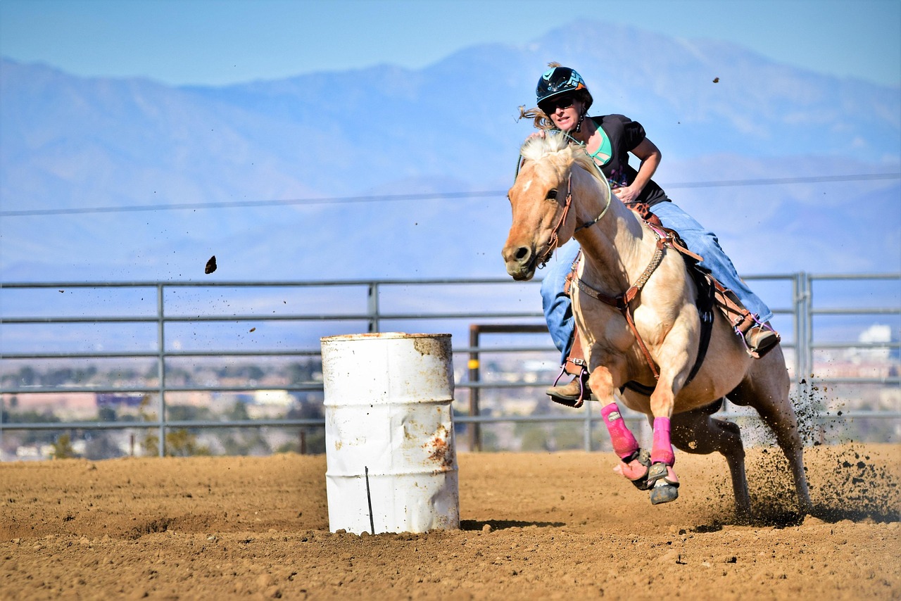 Quarter Horses - America's Most Popular Problem (image credits: pixabay)