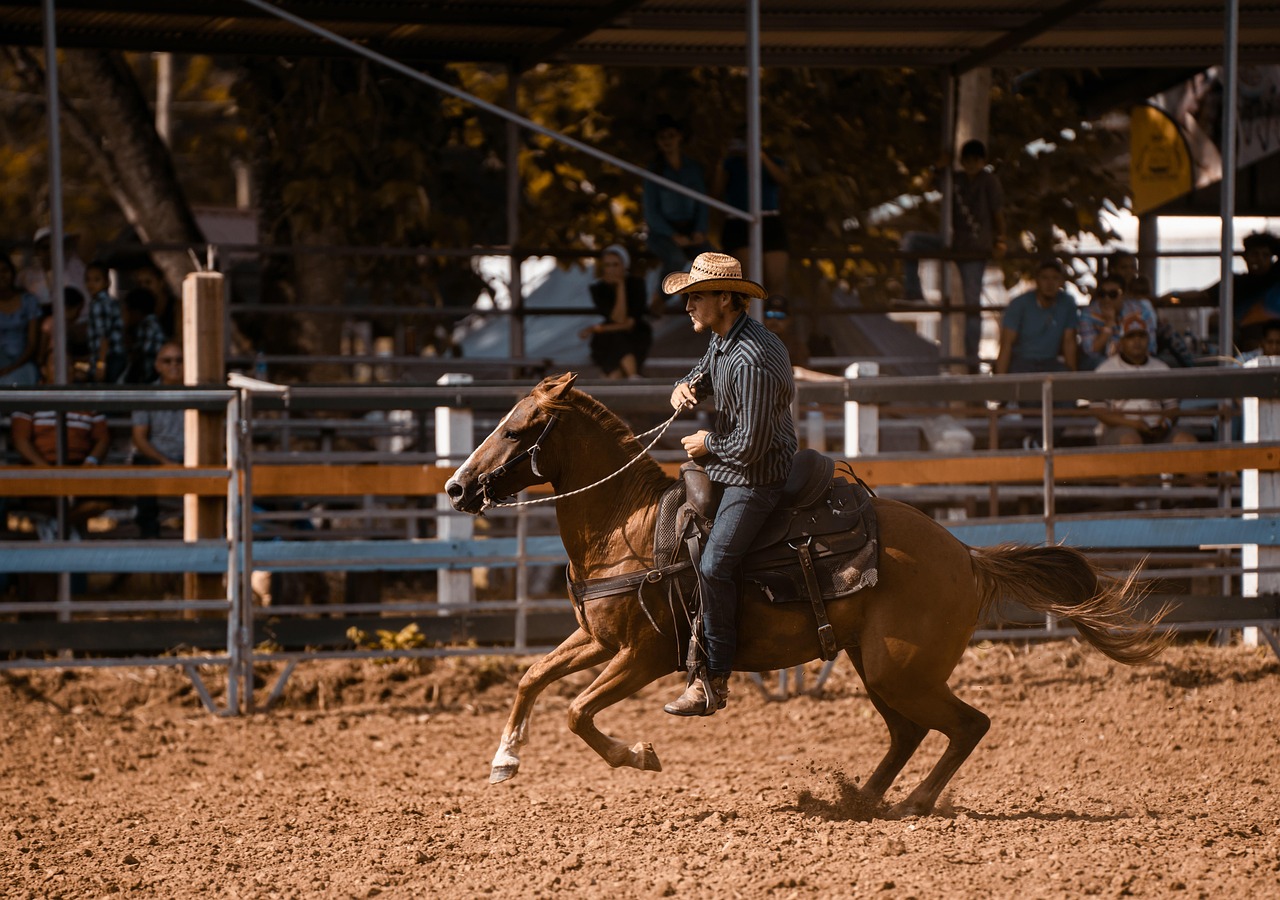 American Quarter Horse - The All-American Favorite (image credits: pixabay)