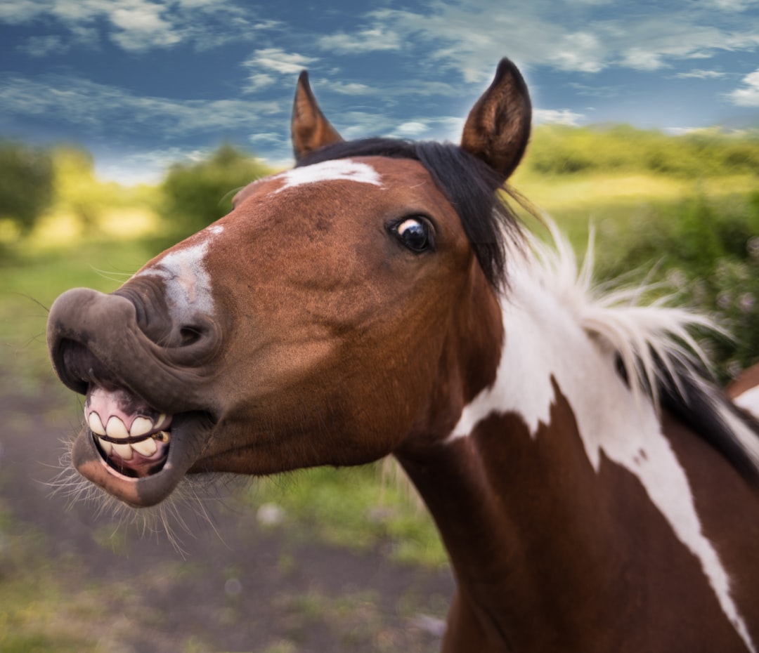 14. Dental Care Costs That Multiply Beyond Basic Floating (image credits: unsplash)