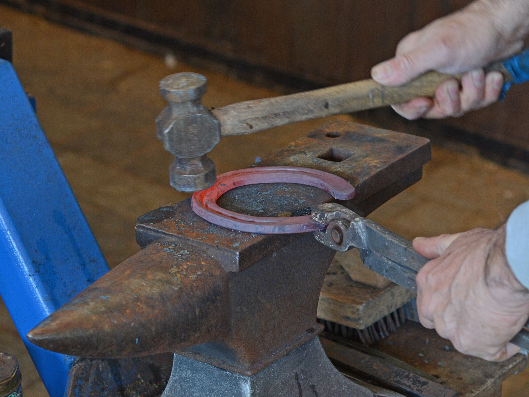 13. Farrier Costs That Vary Wildly by Location and Need (image credits: wikimedia)