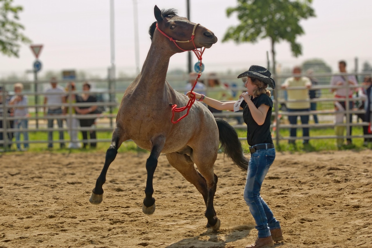 8. Training and Professional Services That Compound Quickly (image credits: pixabay)