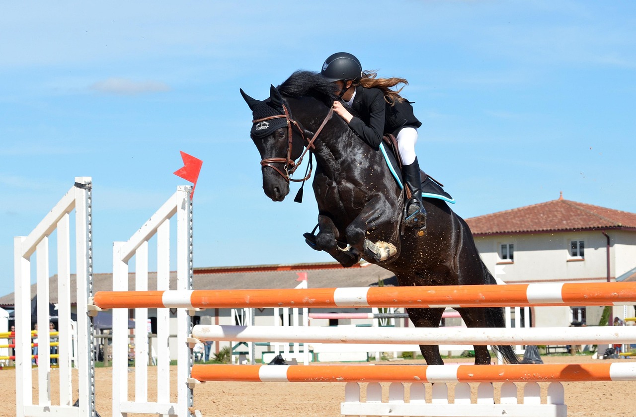 3. Competition and Performance Horse Hidden Costs (image credits: pixabay)