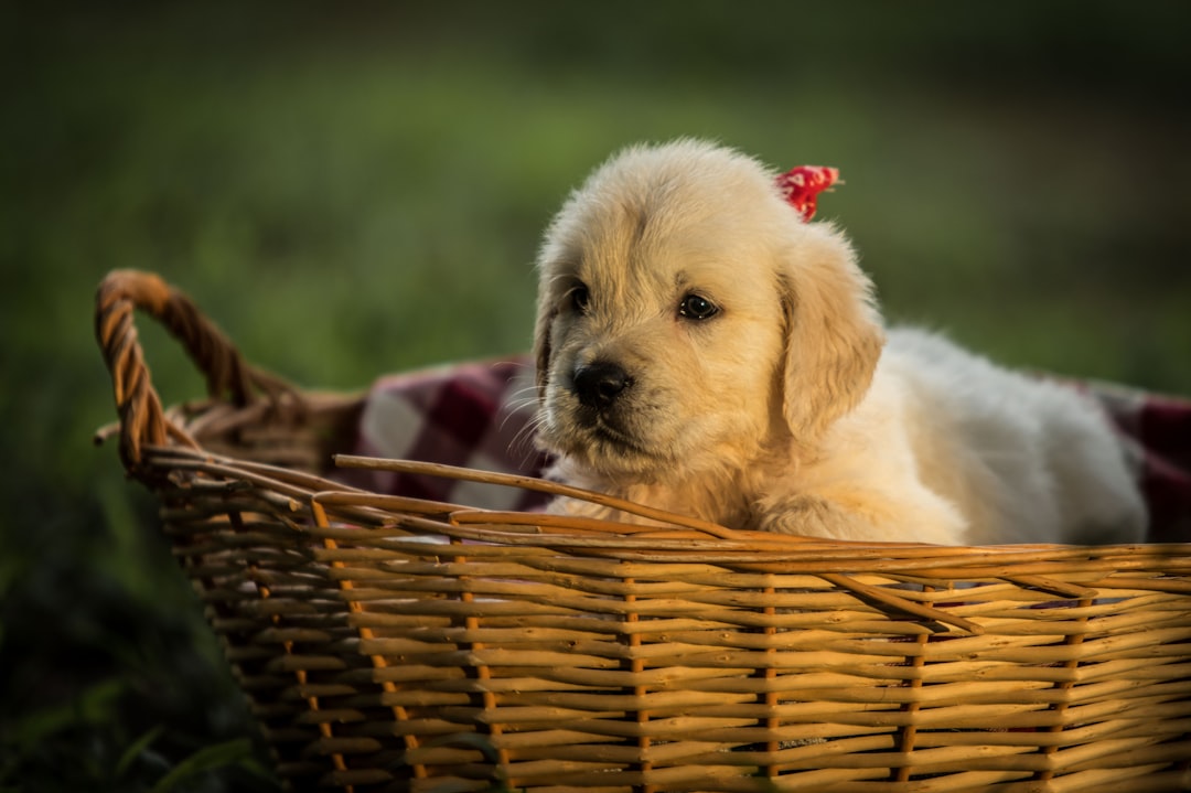 Prices Too Good to Be True (image credits: unsplash)