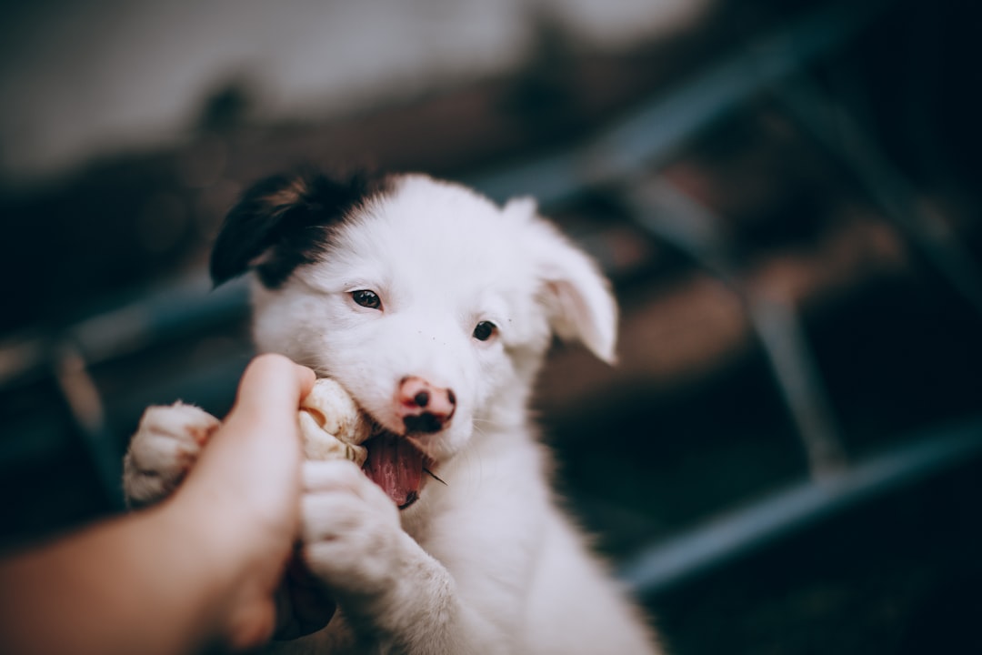 Don't Ask You Any Questions (image credits: unsplash)
