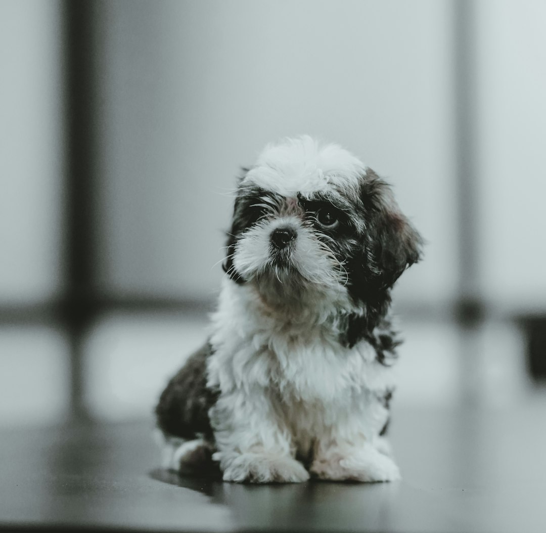 No Long-term Support Offered (image credits: unsplash)