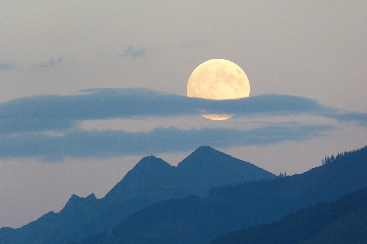 Sun, Moon, and Rising: Your Inner Pack (image credits: pixabay)