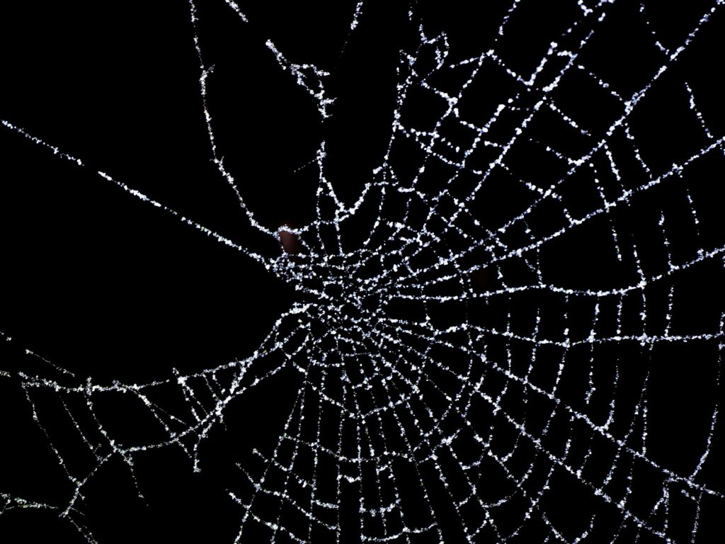 A spider web covered in water droplets on a black background
