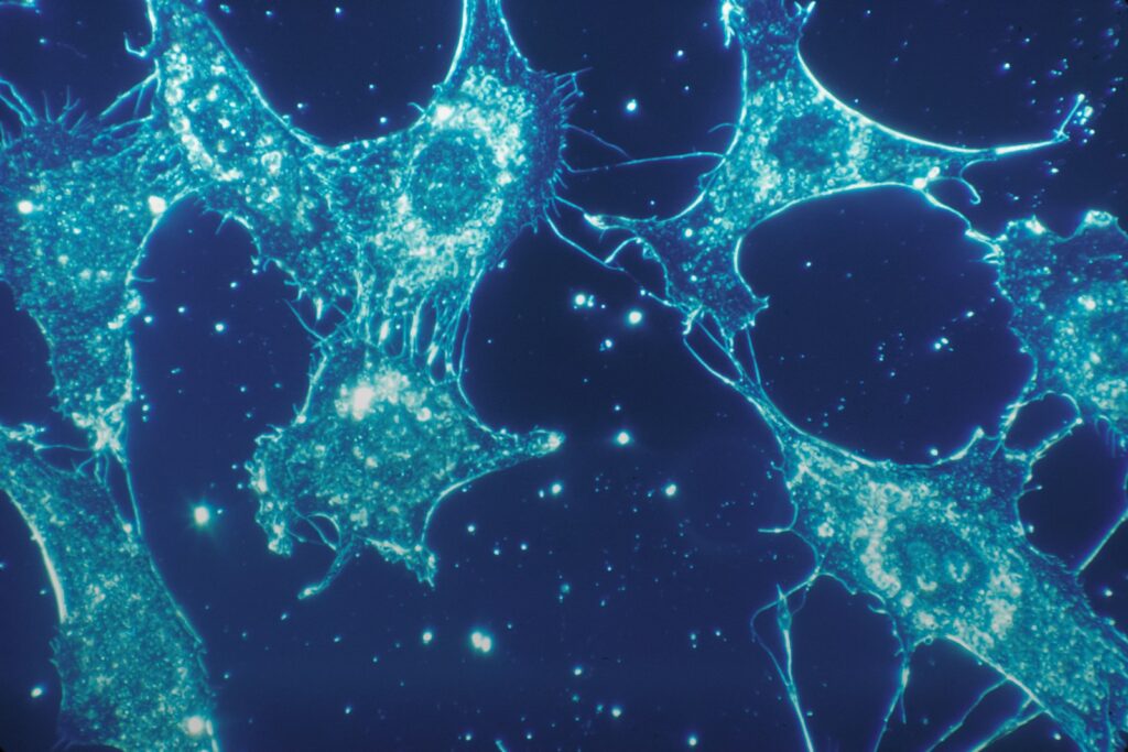 a close up of a cell with a blue background