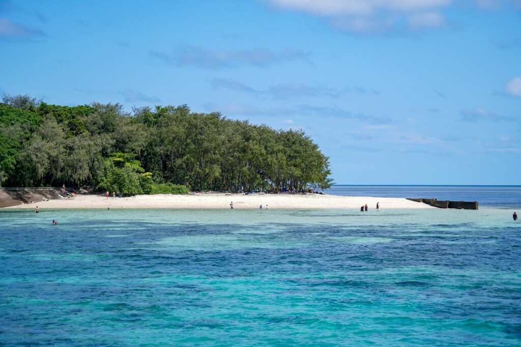 A tranquil beachscape with clear turquoise waters and green foliage, ideal for a tropical getaway.