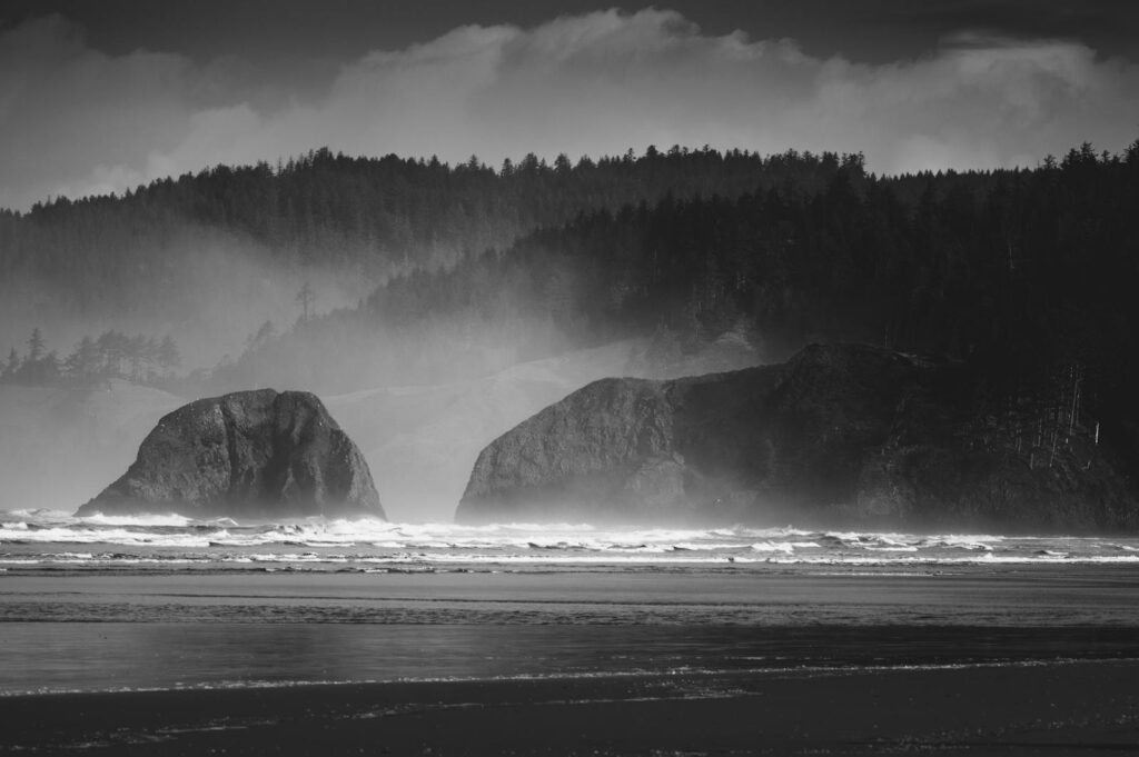 Black and white photo of a misty rocky coastline with dense forest backdrop.