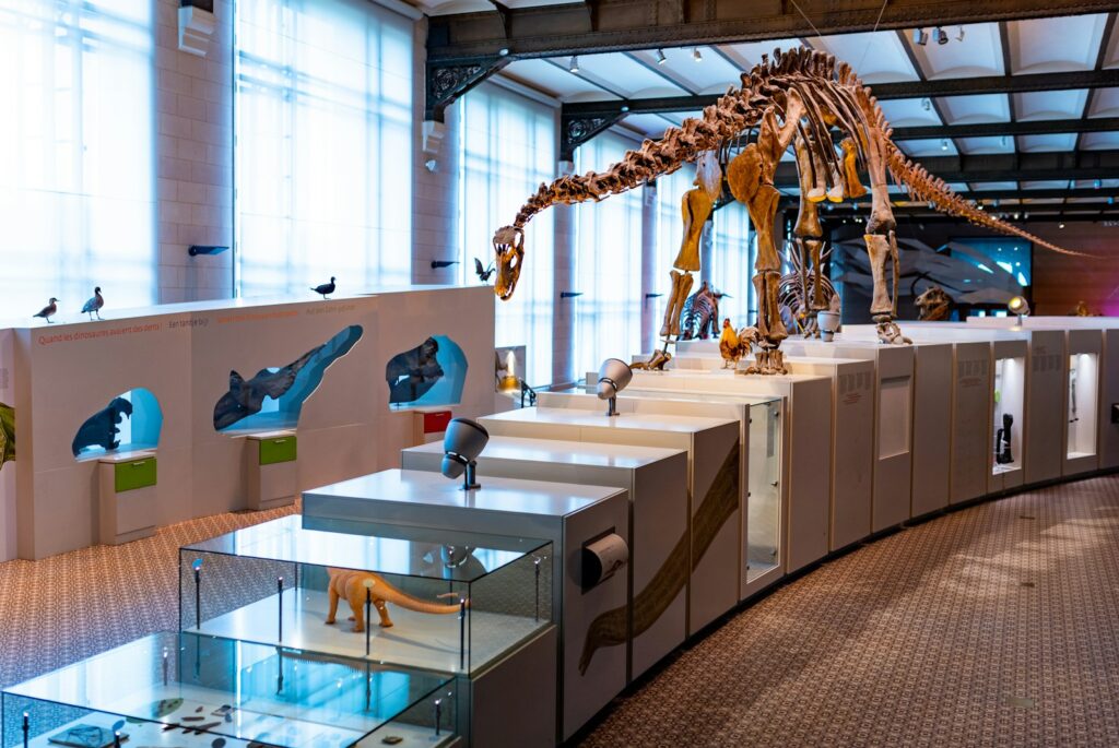 Dinosaur Museum