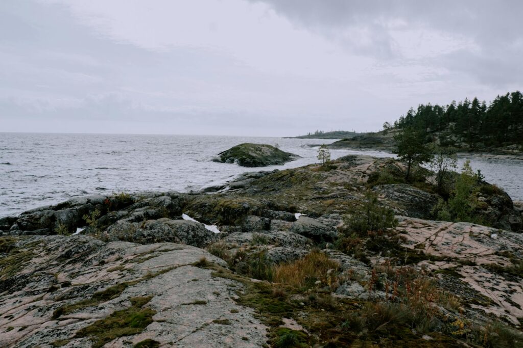 Explore a serene rocky coastline with moss and sparse vegetation, perfect for nature lovers.
