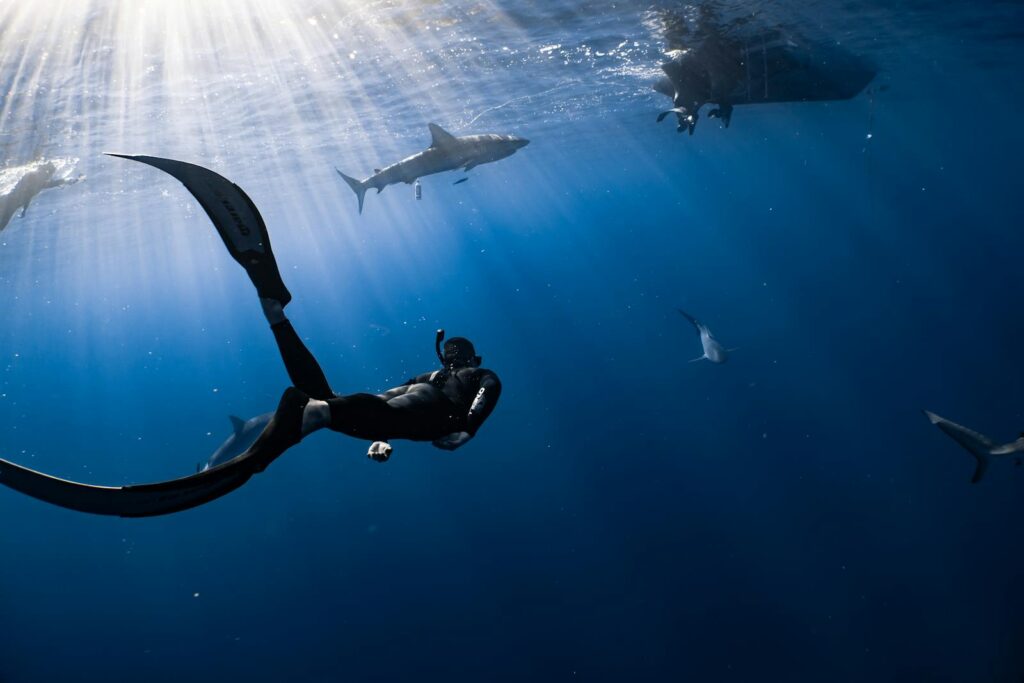 Diver exploring underwater environment surrounded by sharks, illuminated by sun rays.
