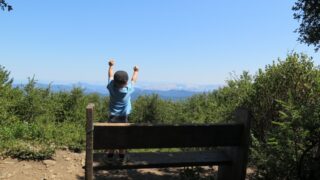 A young boy stands on a bench, demonstrating his playful energy and curiosity in a vibrant outdoor setting.