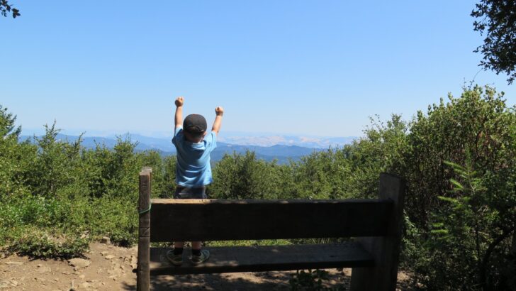 How to Prepare for a Safe National Park Adventure With Kids
