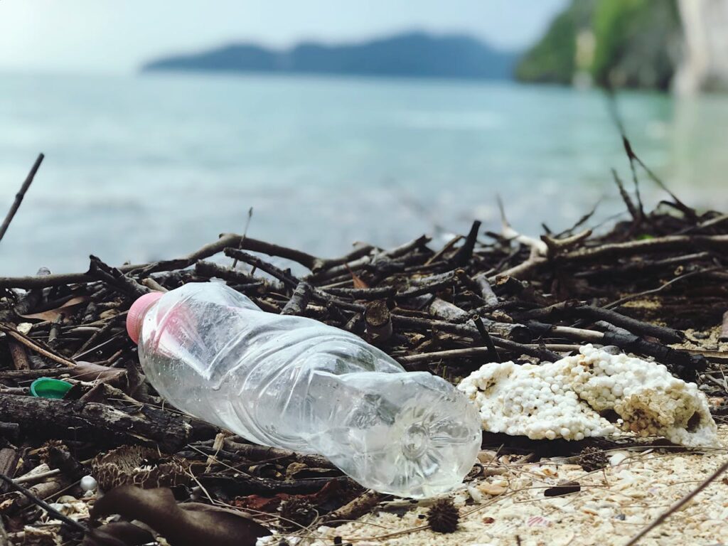 plastic bottle on top of some twigs on the shore