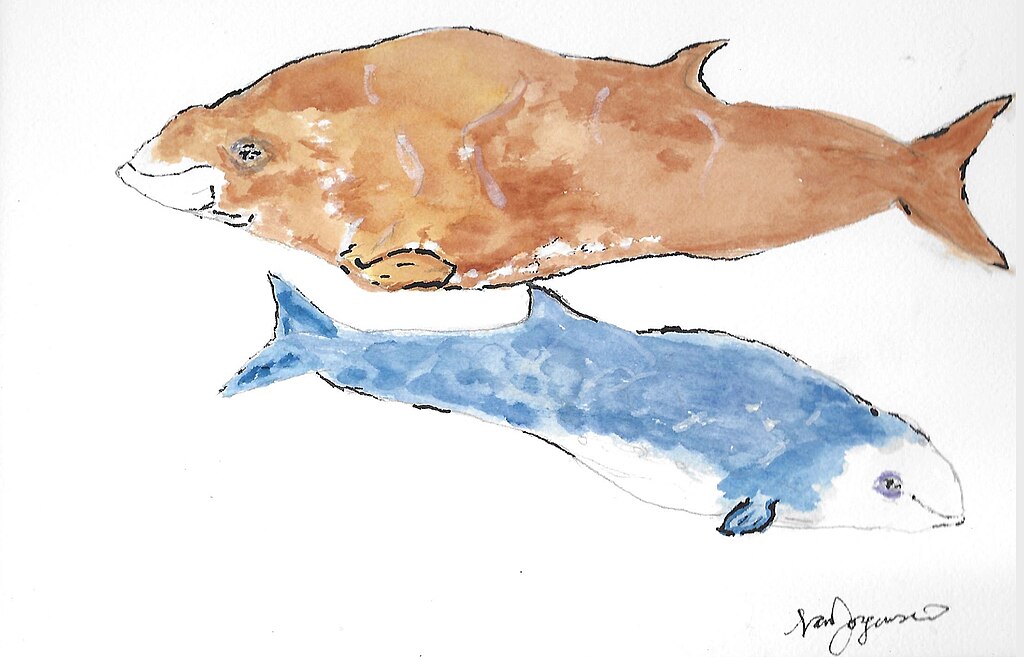 artistic illustration of two Cuvier Beaked Whales