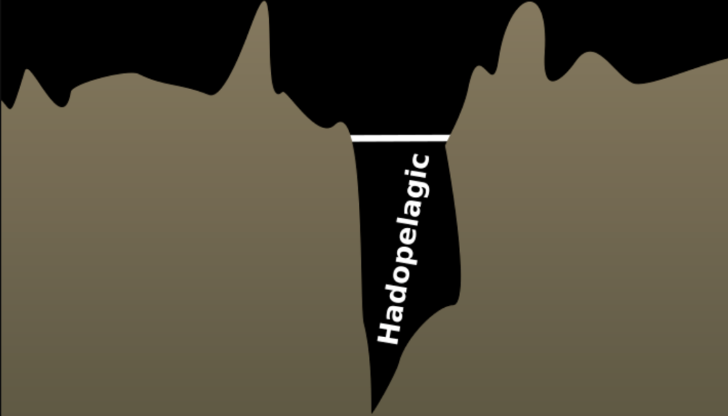 illustration of Hadopelagic zone in the trenches