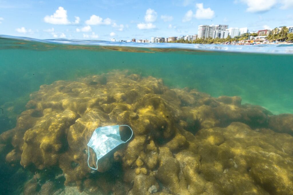 Plastic waste on top of corals near a city
