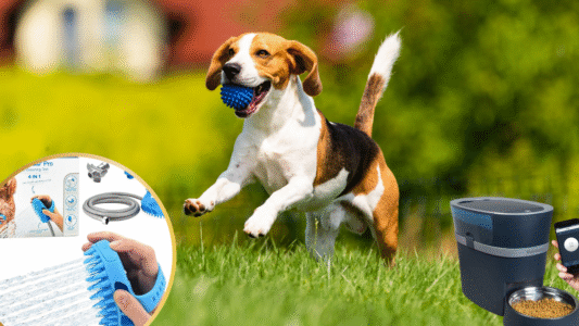 15 Genius Dog Gadgets That Solved Problems I Didn&rsquo;t Know I Had