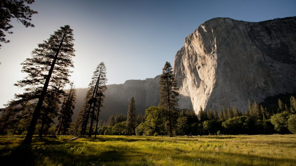 The sun shines brightly over Yosemite's mountains and trees, highlighting the stunning natural scenery of the national park.