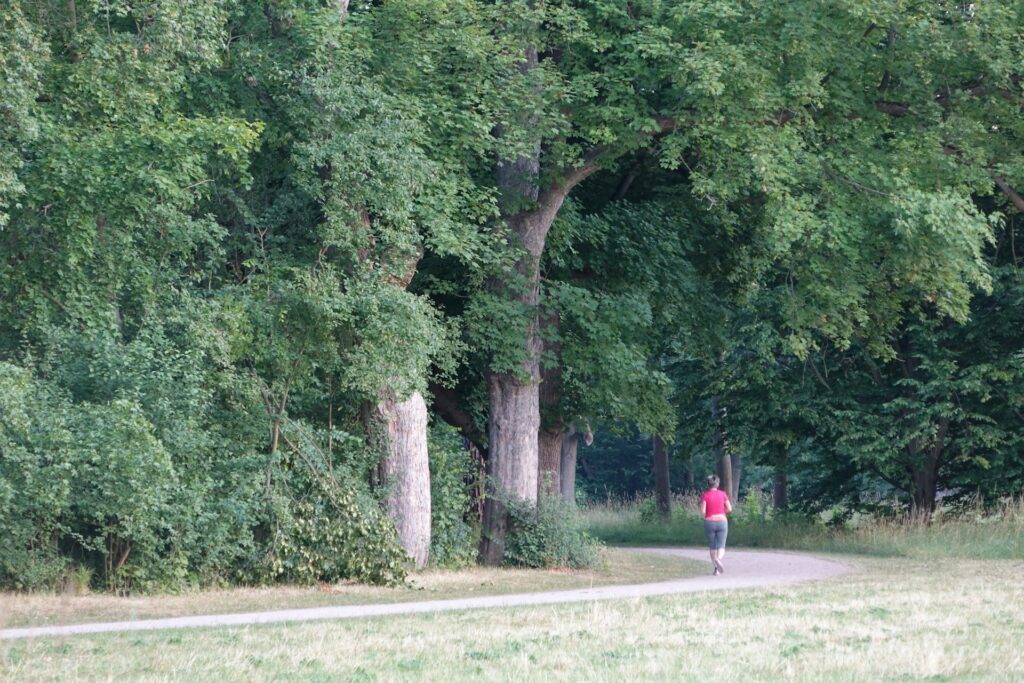 A person is running along a scenic park path, surrounded by greenery and trees.
