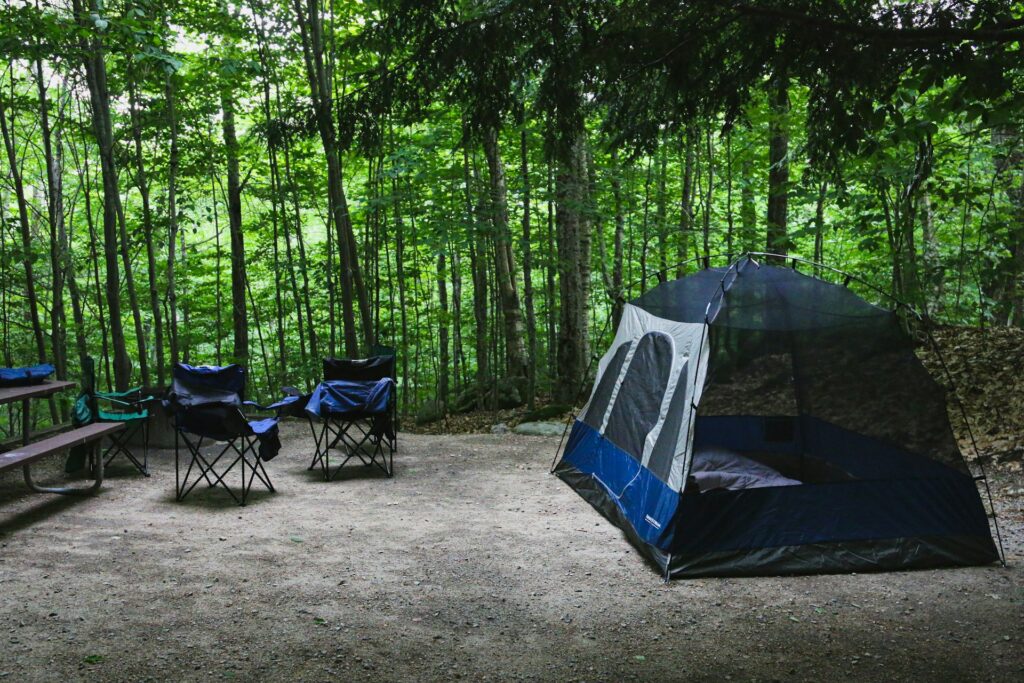 A camping scene featuring a tent and picnic table, set against a backdrop of towering trees in a tranquil woodland.