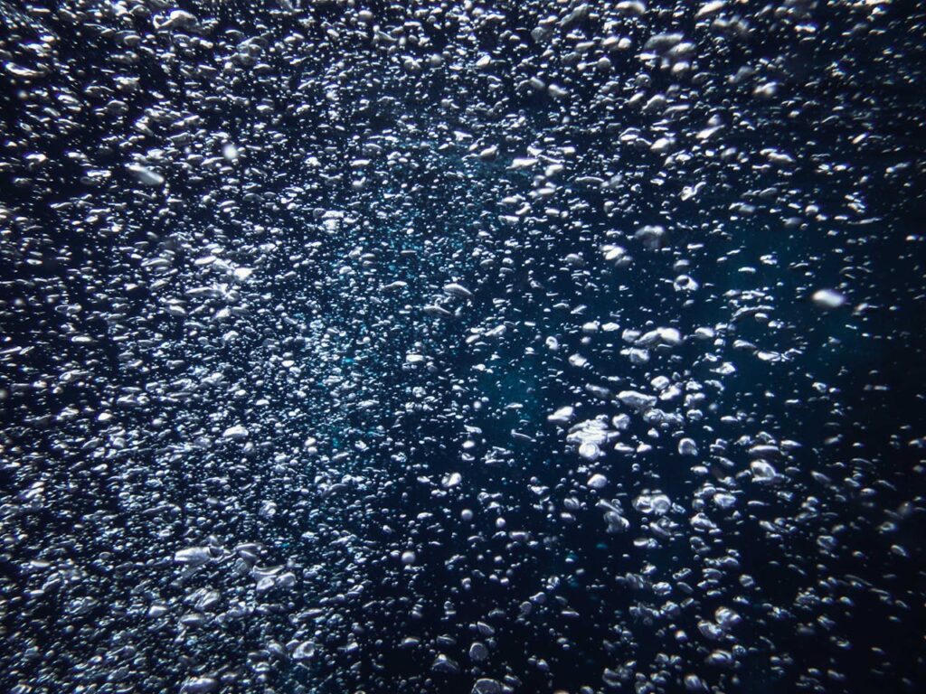 bubbles rising on the water