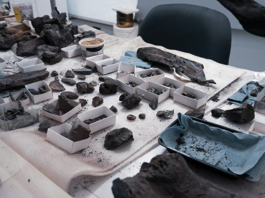 fossil lab