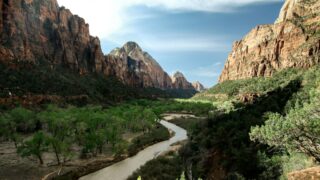 A serene view of the Virgin River flowing through Zion National Park's majestic canyon, surrounded by towering cliffs.