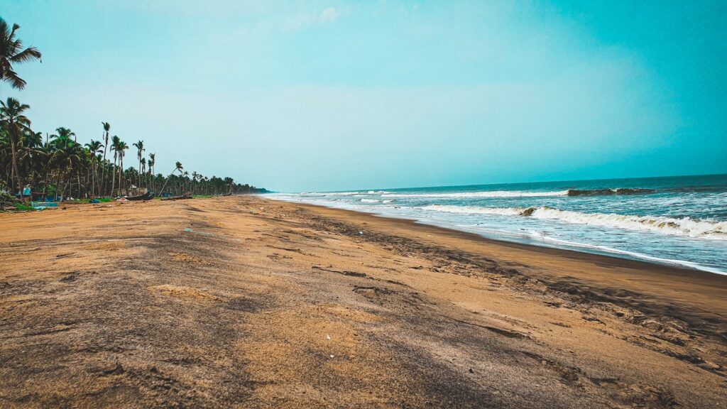 a sandy beach next to the ocean with palm trees